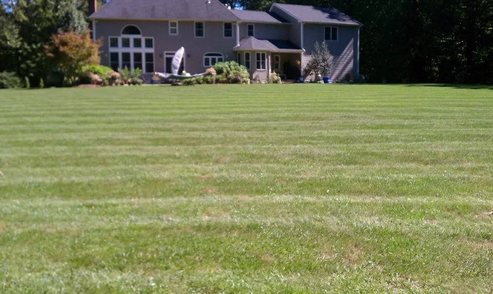 Affordable yard cleanup service for homes in Prospect, CT by Custom Grounds
