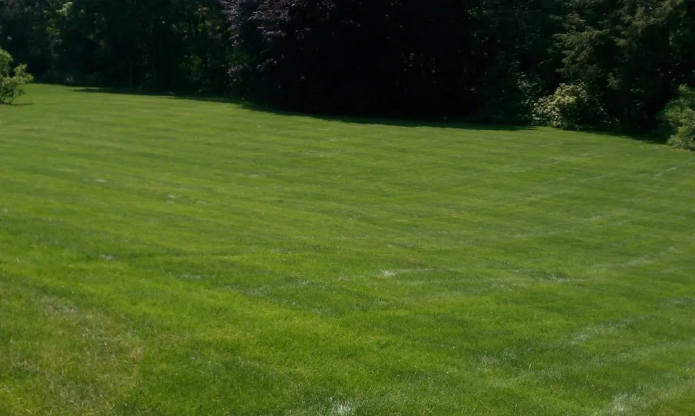 Affordable garden landscaping in Prospect, CT - Custom Grounds