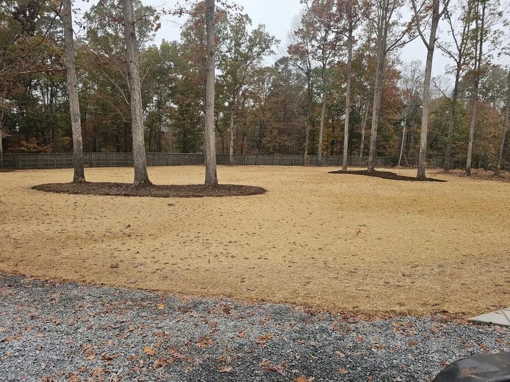 Affordable yard cleanup service with custom design in Trinity, NC by Custom Hardscapes and Grading
