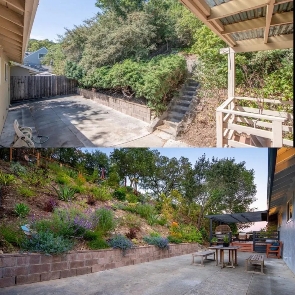 Expert yard cleanup service in San Rafael, CA by Custom Hort Landscape