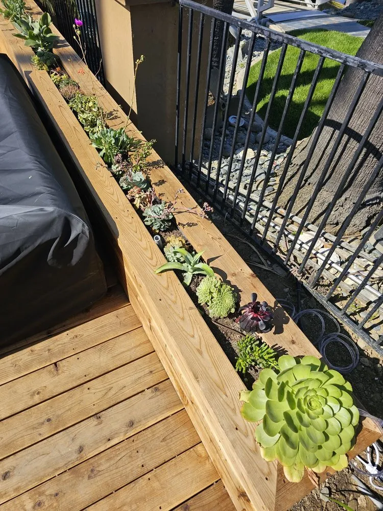 Trusted landscape design for beautiful yards across San Rafael, CA - Custom Hort Landscape