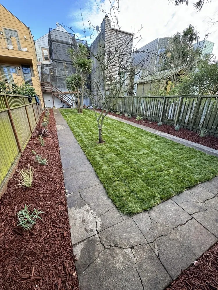 Affordable yard maintenance experts serving San Rafael, CA - Custom Hort Landscape