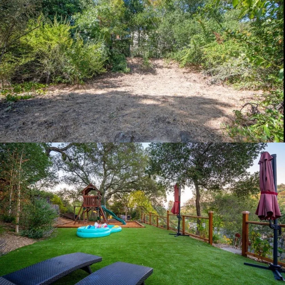 Local yard cleanup service in San Rafael, CA - Custom Hort Landscape