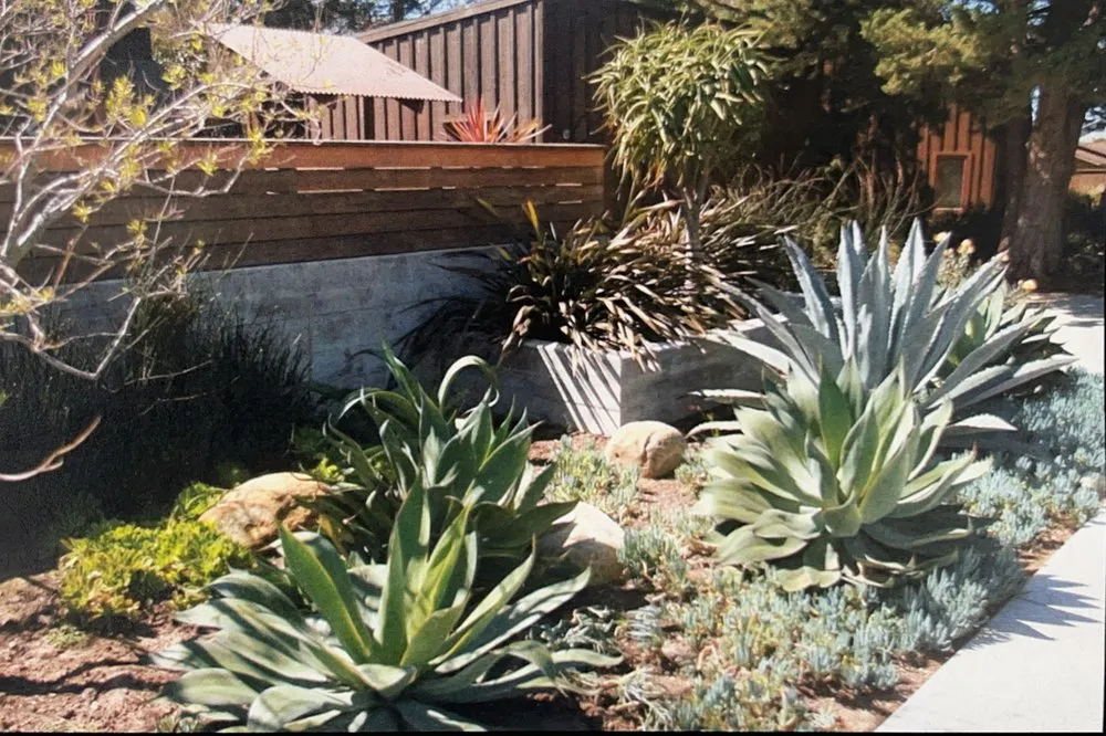 Trusted yard cleanup service experts serving San Rafael, CA - Custom Hort Landscape