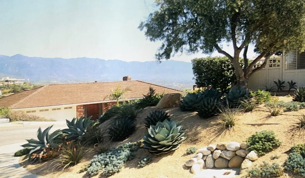 Expert landscape design experts serving San Rafael, CA - Custom Hort Landscape