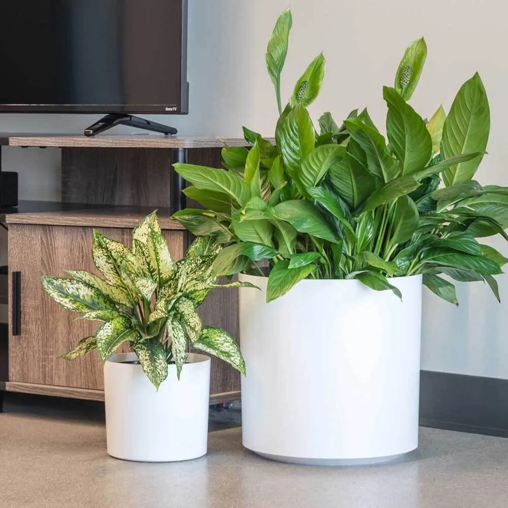 Trusted landscape design for beautiful yards across San Rafael, CA - Custom Hort Landscape