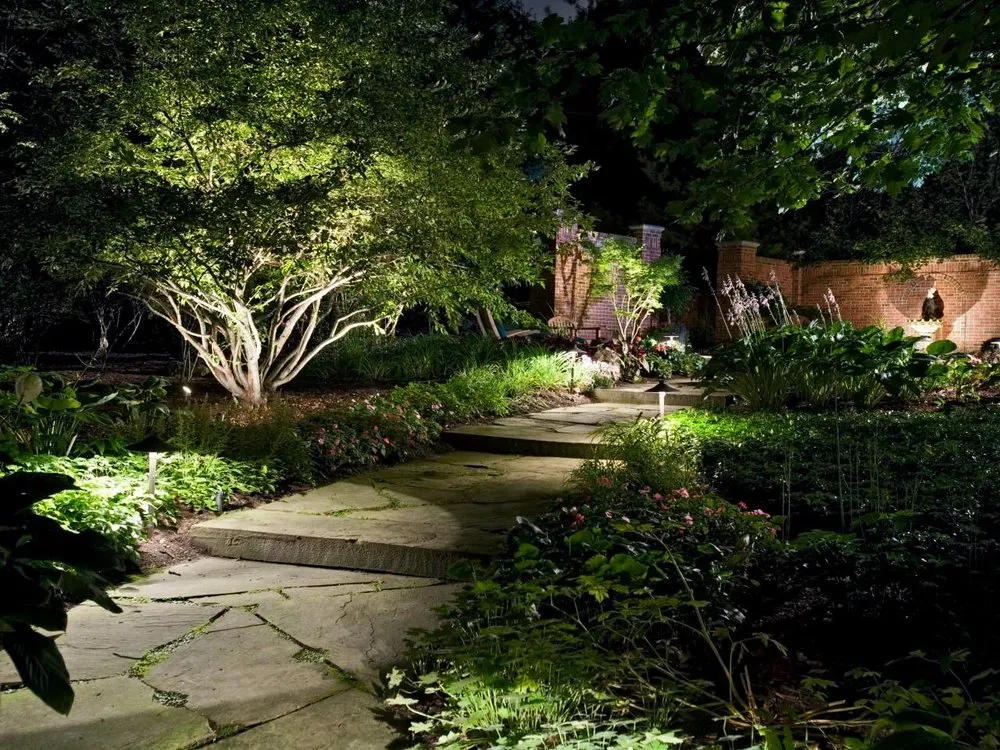 Professional landscape design for beautiful yards across San Rafael, CA - Custom Hort Landscape