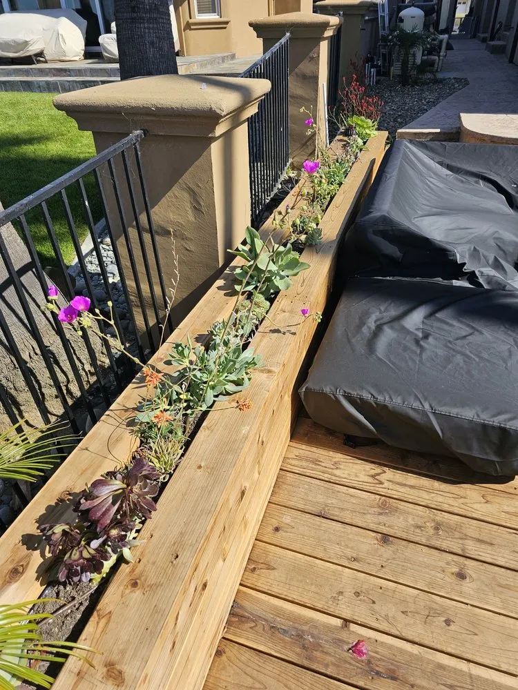 Expert landscape design experts serving San Rafael, CA - Custom Hort Landscape