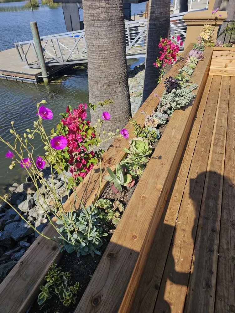 Professional landscape installation near you across San Rafael, CA - Custom Hort Landscape