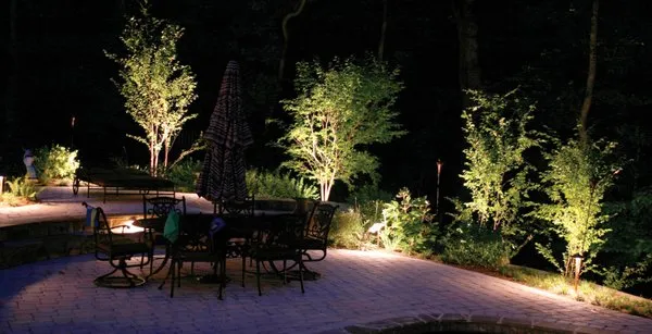 Custom Hort Landscape