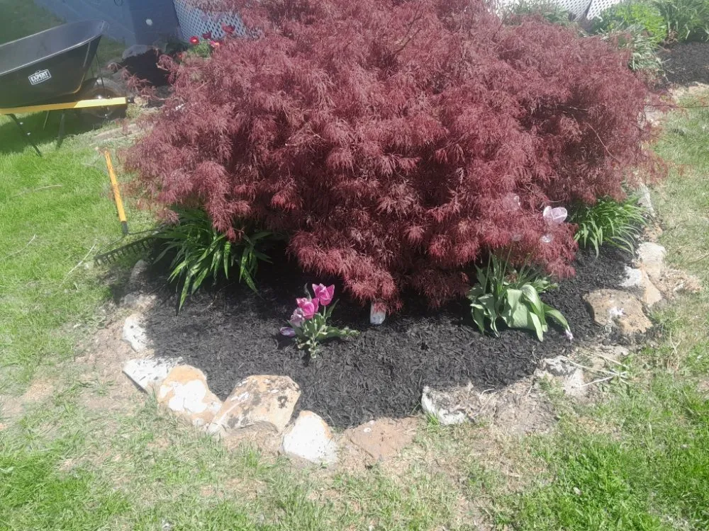 Affordable lawn care service for beautiful yards across Orwell, OH - Custom Kutz Lawn Care