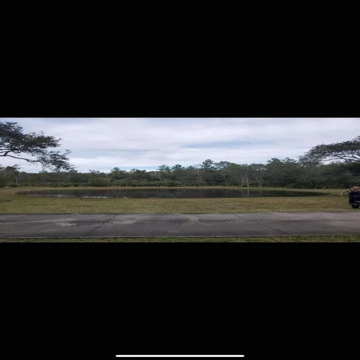 Top-rated landscaping services in Daytona Beach, FL - Custom Lakefronts and Tree Care