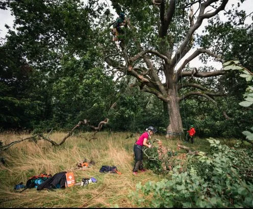 Top-rated landscape design in Daytona Beach, FL - Custom Lakefronts and Tree Care