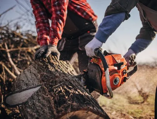 Top-rated landscaping services for beautiful yards across Daytona Beach, FL - Custom Lakefronts and Tree Care