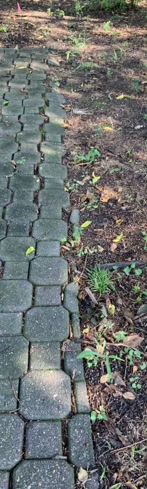 Reliable landscaping services for year-round maintenance across Franklin, VA - Custom Landscape & Design