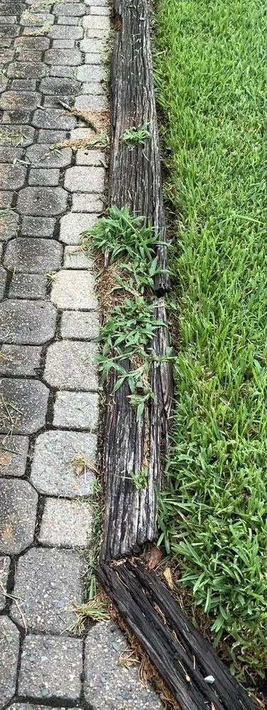 Reliable landscape design for outdoor upgrades in Franklin, VA by Custom Landscape & Design