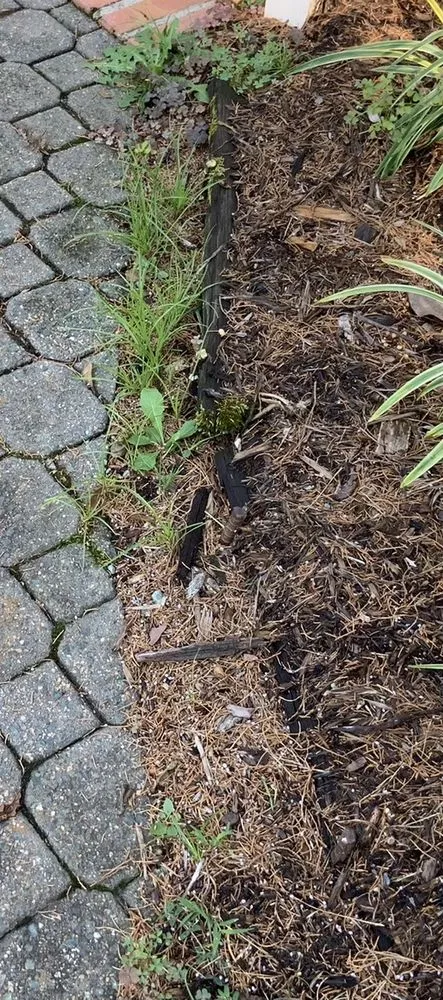 Affordable residential landscaping experts serving Franklin, VA - Custom Landscape & Design