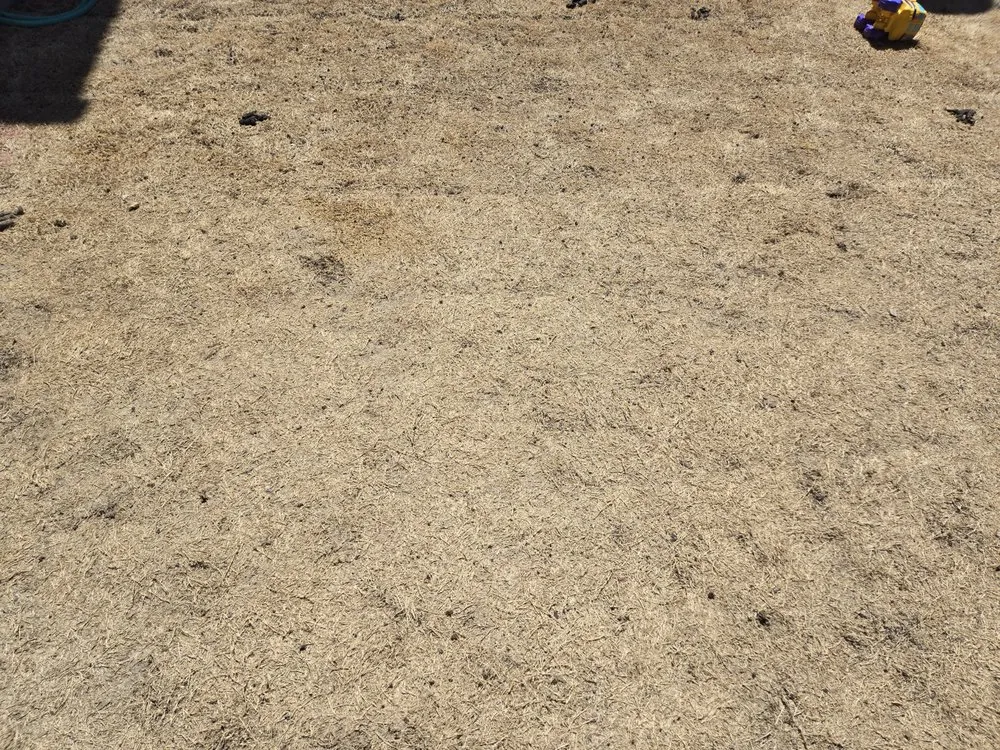 Local outdoor landscaping in Parker, CO by Custom Landscapes by Design