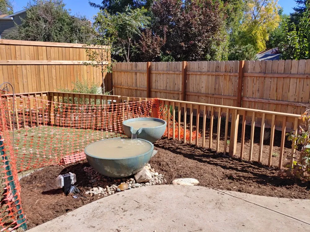 Professional yard cleanup service for year-round maintenance across Parker, CO - Custom Landscapes by Design