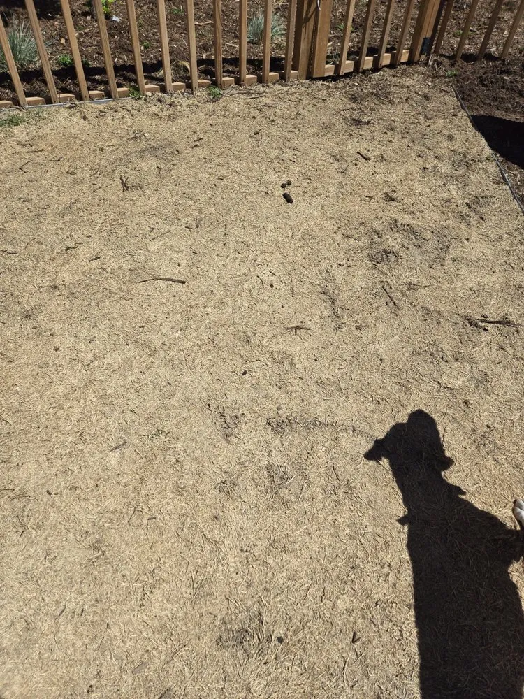 Local lawn mowing service in Parker, CO by Custom Landscapes by Design