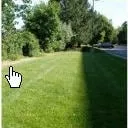 Professional outdoor landscaping for homes in Wheat Ridge, CO by Custom Landscapes of Colorado