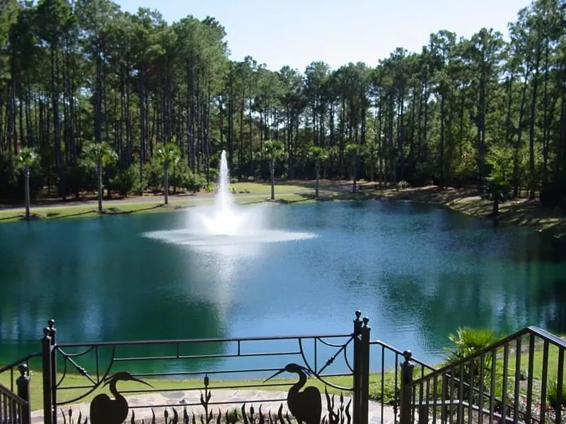 Affordable residential landscaping experts serving Greenviile, SC - Custom Landscaping and Design Inc.