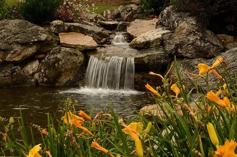 Professional landscape design in Greenviile, SC - Custom Landscaping and Design Inc.