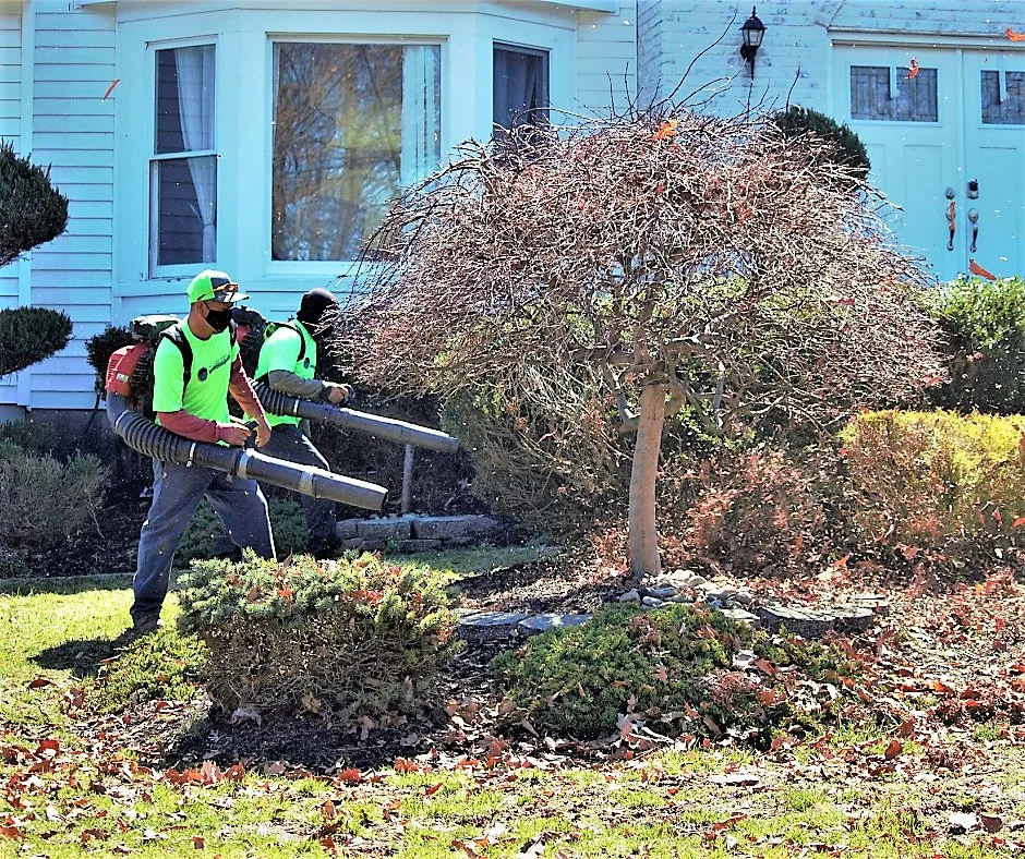Trusted yard cleanup service in Monroe Township, NJ - Custom Landscaping and Lawncare
