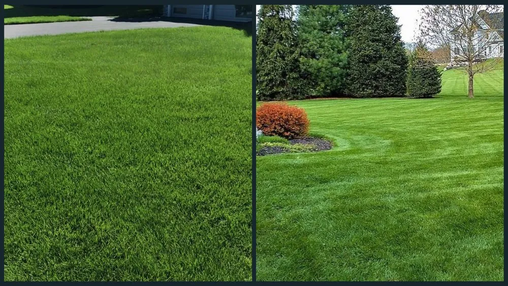 Custom lawn mowing service experts serving Monroe Township, NJ - Custom Landscaping and Lawncare