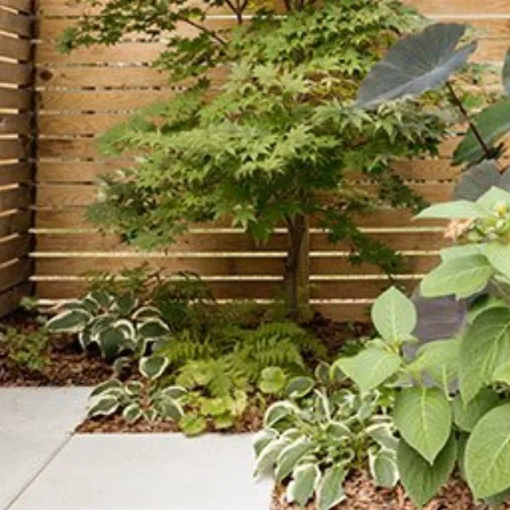Reliable landscape design in Eureka, CA by Custom Landscaping