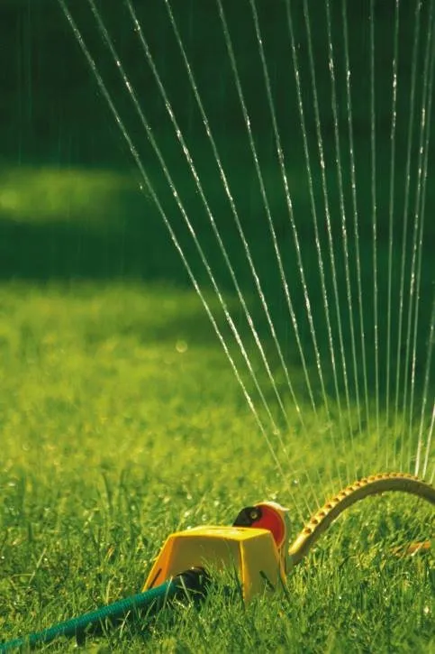 Reliable yard cleanup service in Hollywood, SC - Custom Landscaping Of Charleston