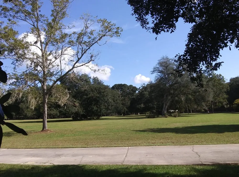 Professional landscaping services experts serving Hollywood, SC - Custom Landscaping Of Charleston