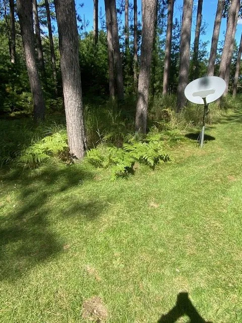 Reliable landscape installation in Eagle River, WI by Custom Landscaping of Eagle River Inc