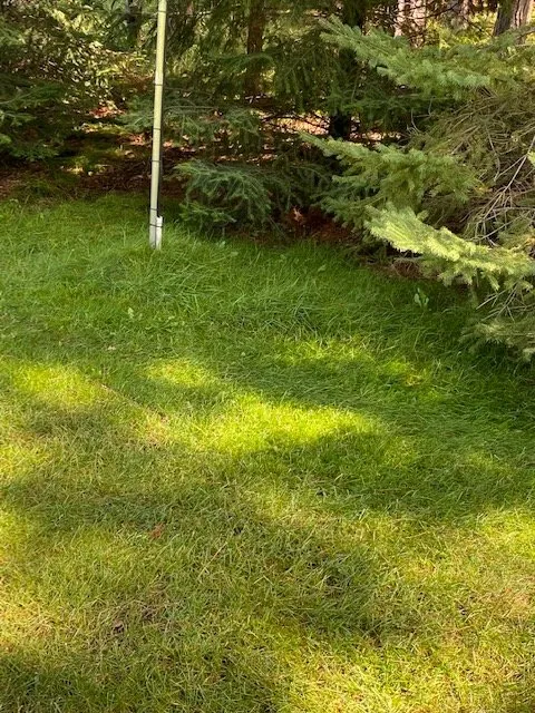 Local lawn care service in Eagle River, WI by Custom Landscaping of Eagle River Inc