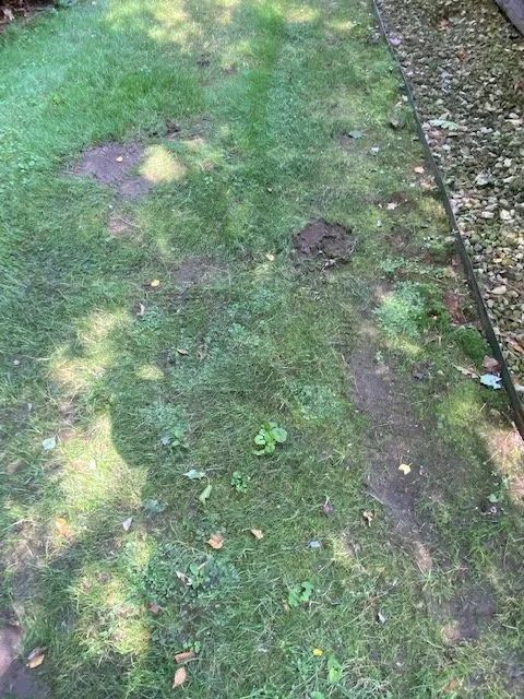 Local lawn mowing service for outdoor upgrades in Eagle River, WI by Custom Landscaping of Eagle River Inc