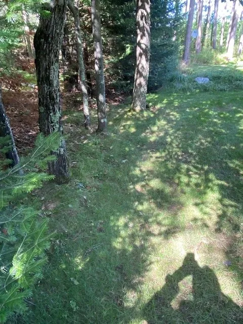 Local residential landscaping in Eagle River, WI by Custom Landscaping of Eagle River Inc