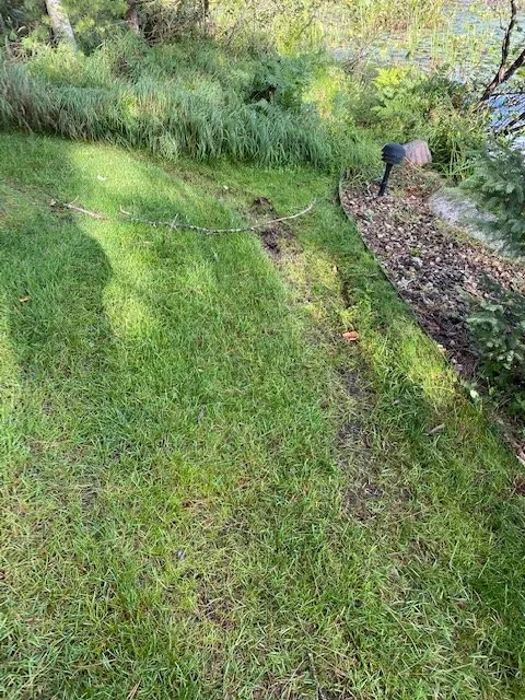 Reliable yard cleanup service in Eagle River, WI by Custom Landscaping of Eagle River Inc