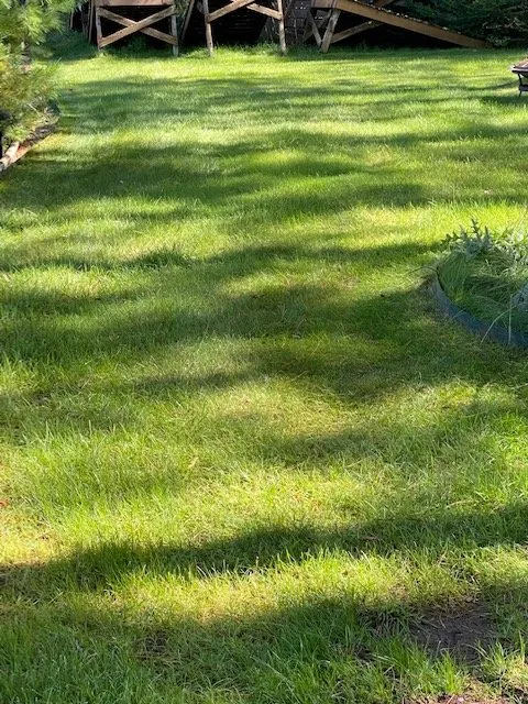 Expert lawn care service in Eagle River, WI by Custom Landscaping of Eagle River Inc
