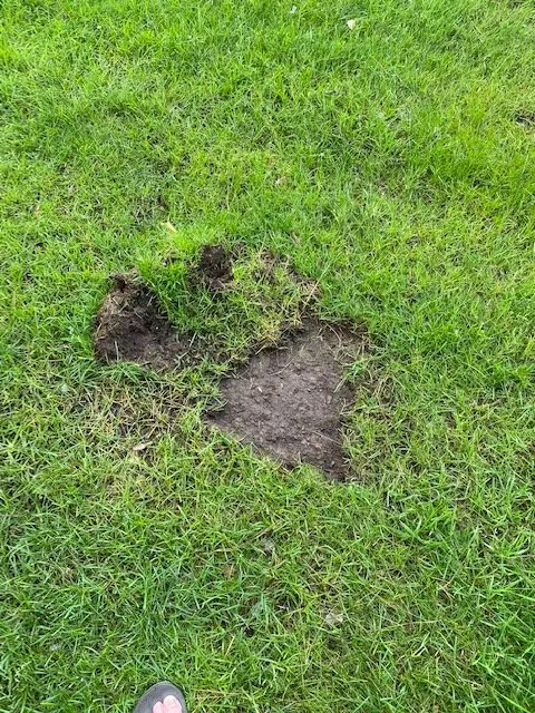 Reliable landscape installation for homes in Eagle River, WI by Custom Landscaping of Eagle River Inc