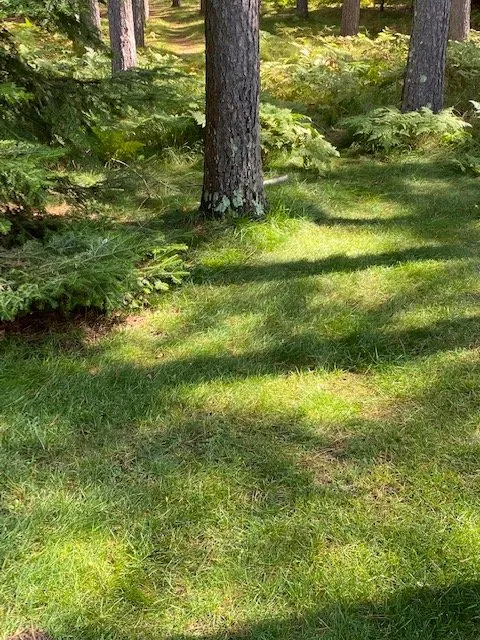 Custom lawn care service in Eagle River, WI - Custom Landscaping of Eagle River Inc
