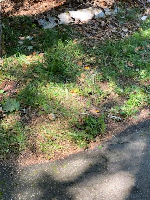 Trusted lawn care service in Eagle River, WI - Custom Landscaping of Eagle River Inc