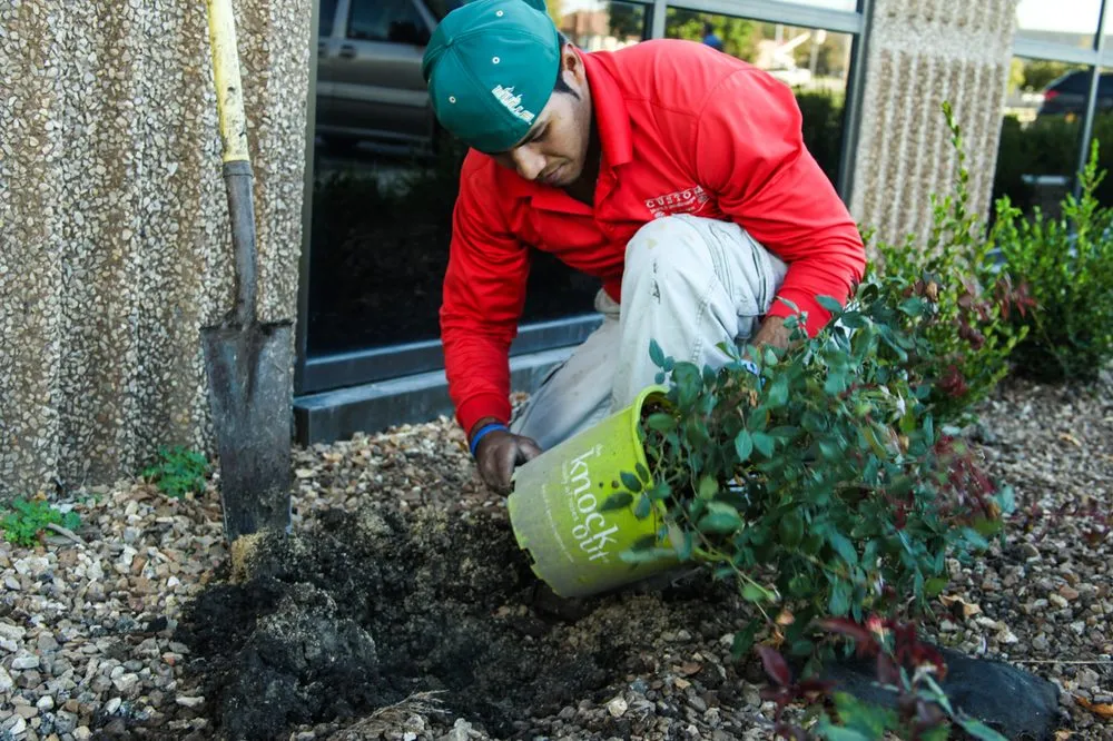 Expert yard maintenance for year-round maintenance across Olathe, KS - Custom Lawn & Landscape