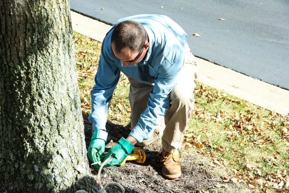 Custom yard cleanup service in Olathe, KS - Custom Lawn & Landscape