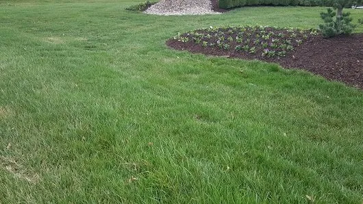 Trusted outdoor landscaping in Olathe, KS - Custom Lawn & Landscape