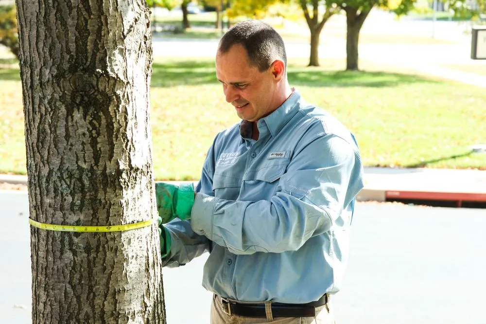 Expert landscape installation in Olathe, KS by Custom Lawn & Landscape