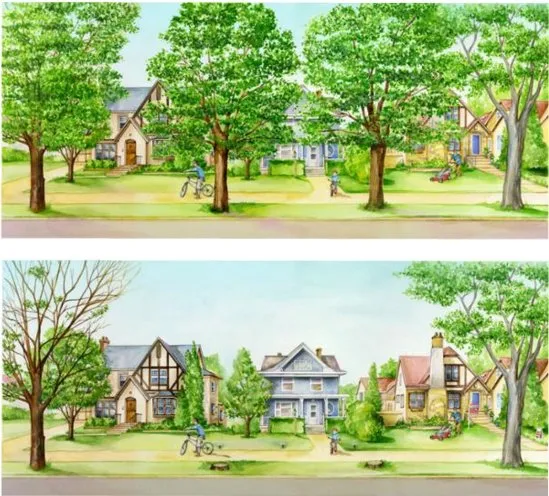 Affordable landscape design in Olathe, KS by Custom Lawn & Landscape