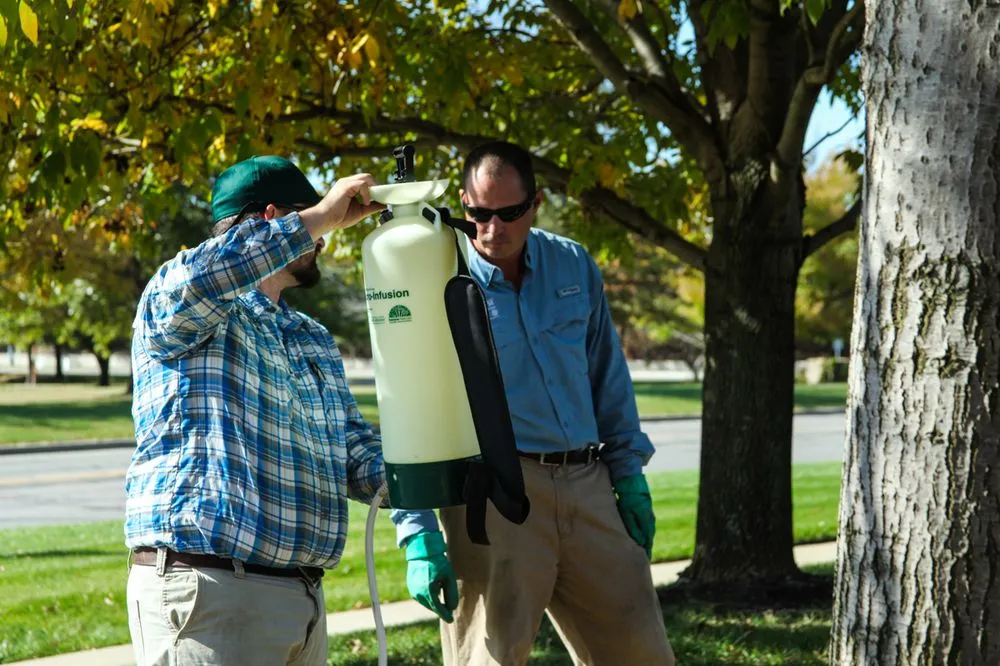 Custom outdoor landscaping experts serving Olathe, KS - Custom Lawn & Landscape