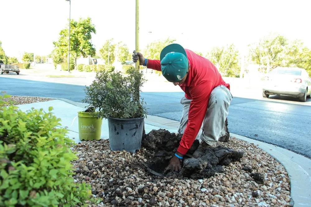 Reliable outdoor landscaping for residential properties across Olathe, KS - Custom Lawn & Landscape