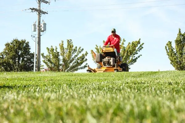 Custom Lawn & Landscape