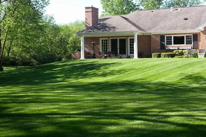 Affordable yard cleanup service for residential properties across Cedar Rapids, IA - Custom Lawn & Landscaping